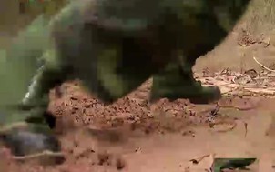 Chúng tôi là chiến sĩ - 15/8/2014